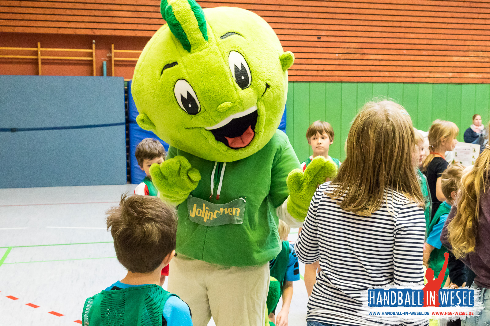 Minispielfest HSG Wesel / November 2017